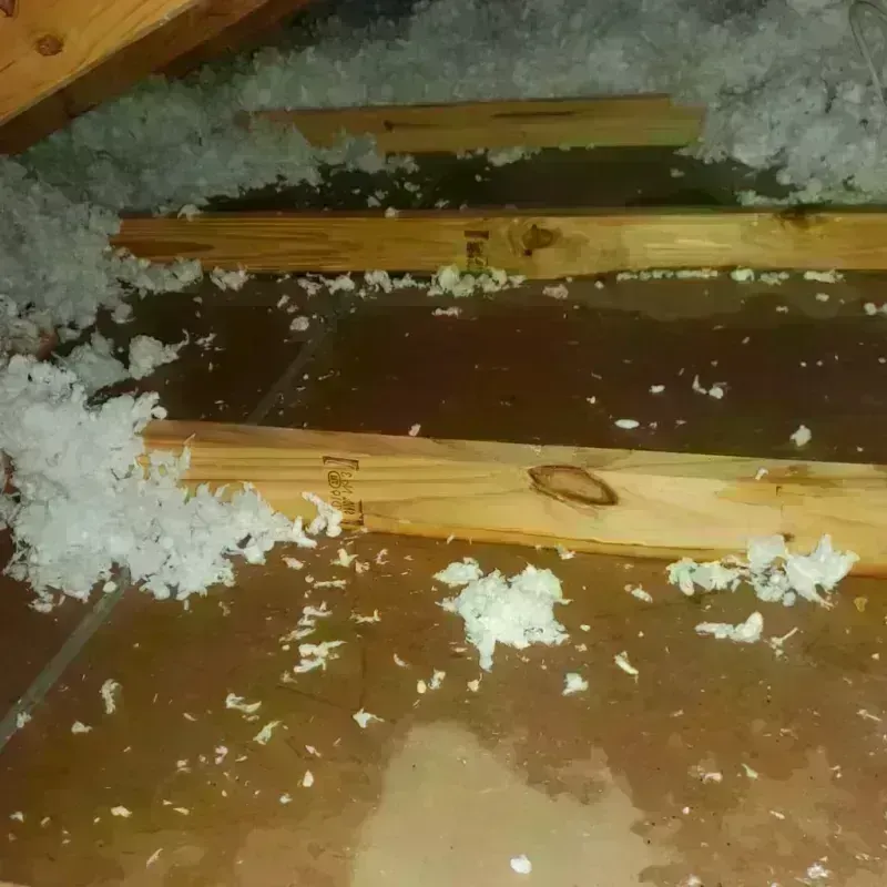 Attic Water Damage in North Beach Haven, NJ