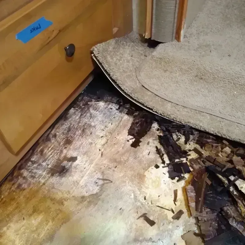 Wood Floor Water Damage in North Beach Haven, NJ